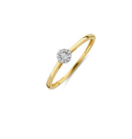 Blush Blush Ring 1646BDI/54 14k Geelgoud 0,04crt G SI Briljant geslepen Diamant Maat 54