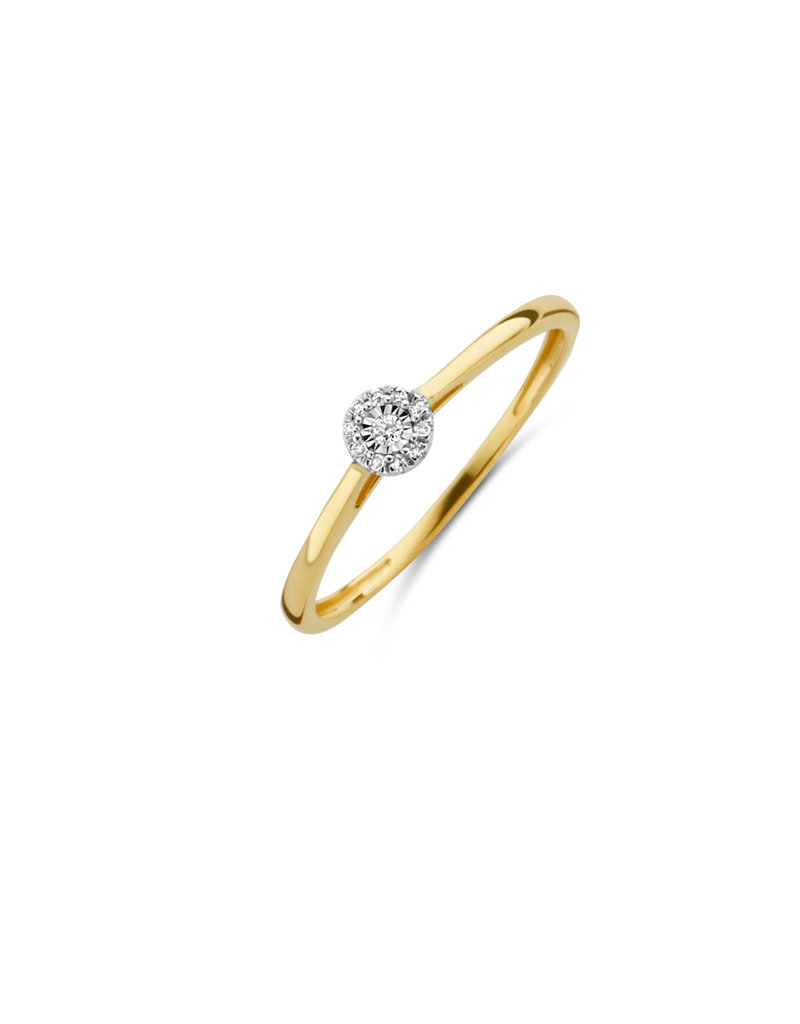 Blush Blush Ring 1646BDI/54 14k Geelgoud 0,04crt G SI Briljant geslepen Diamant Maat 54