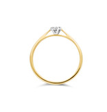 Blush Blush Ring 1646BDI/54 14k Geelgoud 0,04crt G SI Briljant geslepen Diamant Maat 54