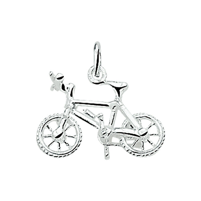 Blinckers Jewellery Huiscollectie BJ Hanger 10.03225 Zilver Fiets