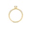 Blush Blush 1133YZI/54  Ring in 14 k geelgoud met briljant geslepen zirkonia in zetting