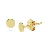 Blinckers Jewelry Huiscollectie BJ 4022730 oorstekers 14k geel goud platte rondjes
