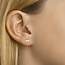 Blinckers Jewellery Huiscollectie BJ Oorbellen 40.22733 14k Geelgoud Staafjes