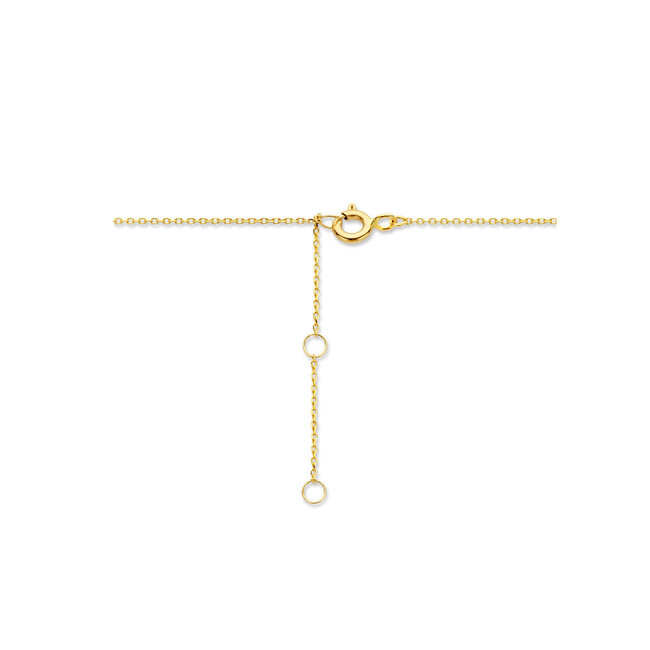 Blinckers Jewellery Huiscollectie BJ Collier 40.22750 14k Geelgoud Zirkonia Hanger 0,8mm 40-44cm