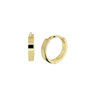Blinckers Jewellery Huiscollectie BJ Oorbellen 40.24838 Goud 14k Klapoorringen 1.8x10mm