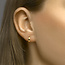 Blinckers Jewellery Huiscollectie BJ Oorbellen 40.24838 14k Geelgoud Glad Vlak