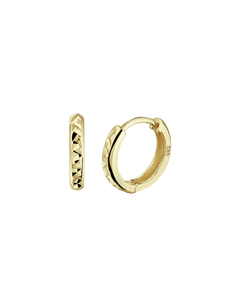 Blinckers Jewelry Huiscollectie BJ 4024840 oorbellen creool in 14k goud licht relief  10.5 x 2 mm