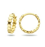 Blinckers Jewelry Huiscollectie BJ 4024843 oorbellen klap creool in 14k goud met zeshoek motief plat