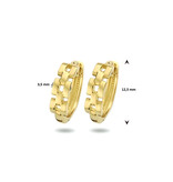 Blinckers Jewelry Huiscollectie BJ 4024846 oorbellen klap creool in 14 k goud schakel motief