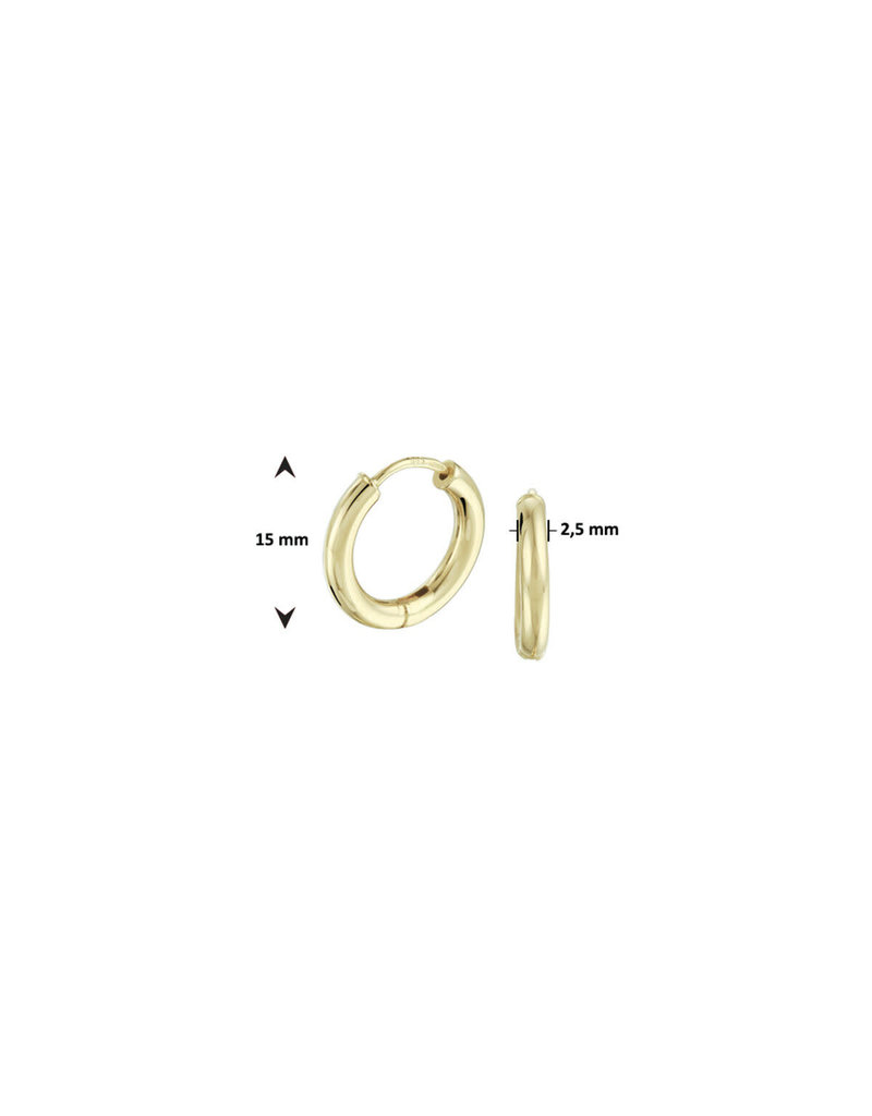 Blinckers Jewelry Huiscollectie BJ 40.22737 oorbellen klap creool rond in 14 k goud 2.5 x 15 mm