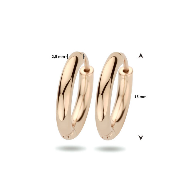 Blinckers Jewellery Huiscollectie BJ Oorbellen 44.01243 14k Geelgoud Oorringen Rond Scharnier 2.5 x 15 mm