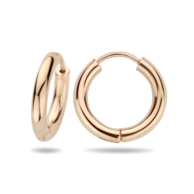 Blinckers Jewellery Huiscollectie BJ Oorbellen 44.01243 14k Geelgoud Oorringen Rond Scharnier 2.5 x 15 mm