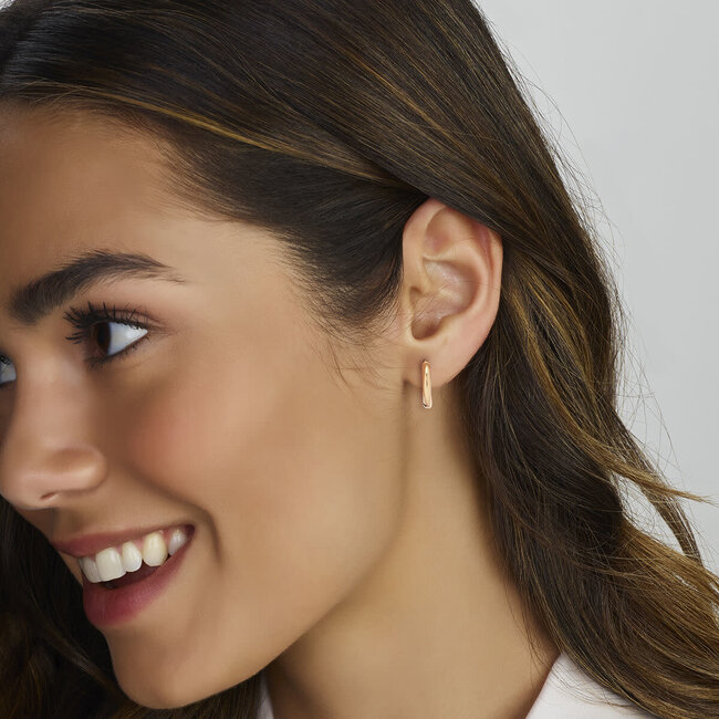 Blinckers Jewellery Huiscollectie BJ Oorbellen 44.01243 14k Geelgoud Oorringen Rond Scharnier 2.5 x 15 mm