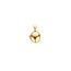 Blush Blush Medallion Hanger 6087YGO 14k Geelgoud Ovaal
