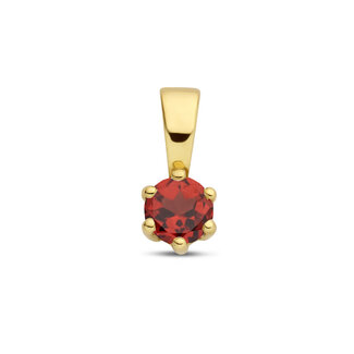 Blinckers Jewellery Huiscollectie BJ Hanger 40.25312 14k Geelgoud Geboortesteen Januari (Granaat)