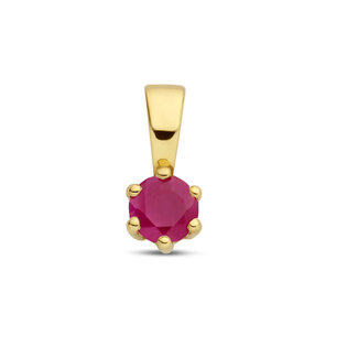 Blinckers Jewellery Huiscollectie BJ Hanger 40.25317 14k Geelgoud Geboortesteen Juli (Robijn)