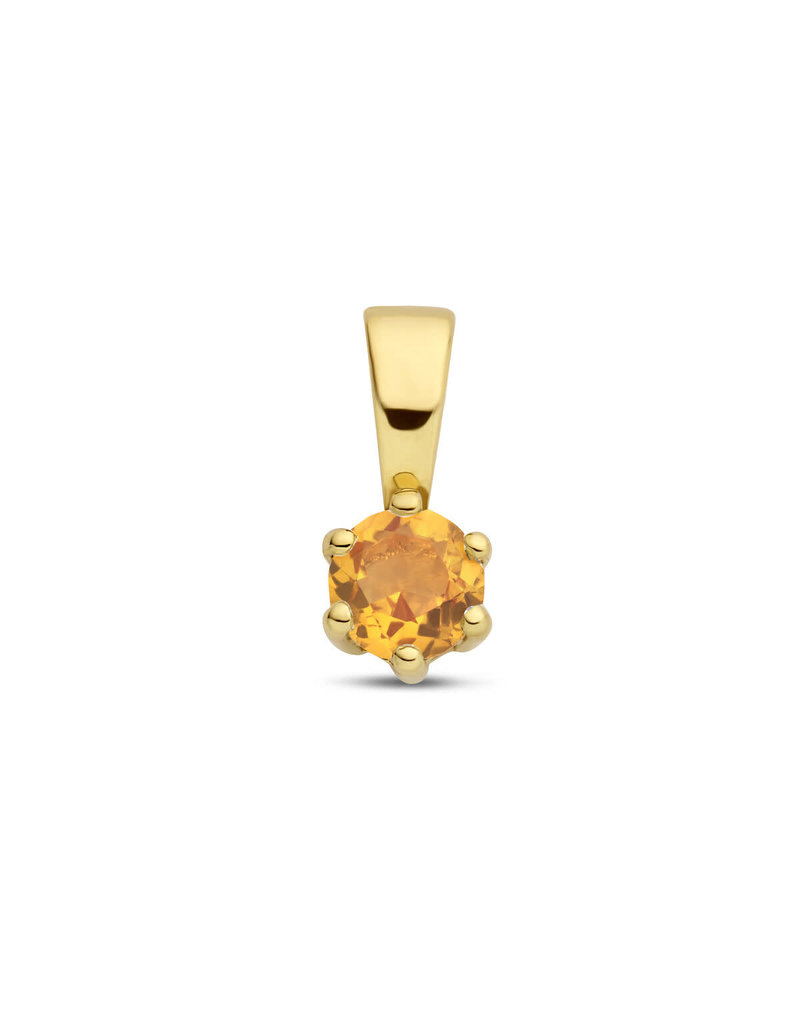 Blinckers Jewelry Huiscollectie BJ 40.25321 Hanger in 14k goud met edelsteen citrine  geboortesteen November (citrien)