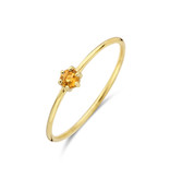 Blinckers Jewelry Huiscollectie BJ 4021456 ring dames in 14k goud met natuursteen Citrien 0.125ct  3 mm in maat 17.5 (geboorte steen november)