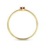 Blinckers Jewelry Huiscollectie BJ 4027602 ring dames  14k goud  Granaat  0.14ct  3 mm in maat 16.5 (geboorte steen januari)