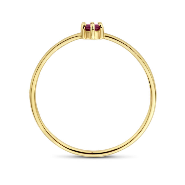 The House Of Blinckers THOB Ring 40.27602/16.5 14k Geelgoud met 0.14ct Granaat 4mm Maat 16.5 (Januari)