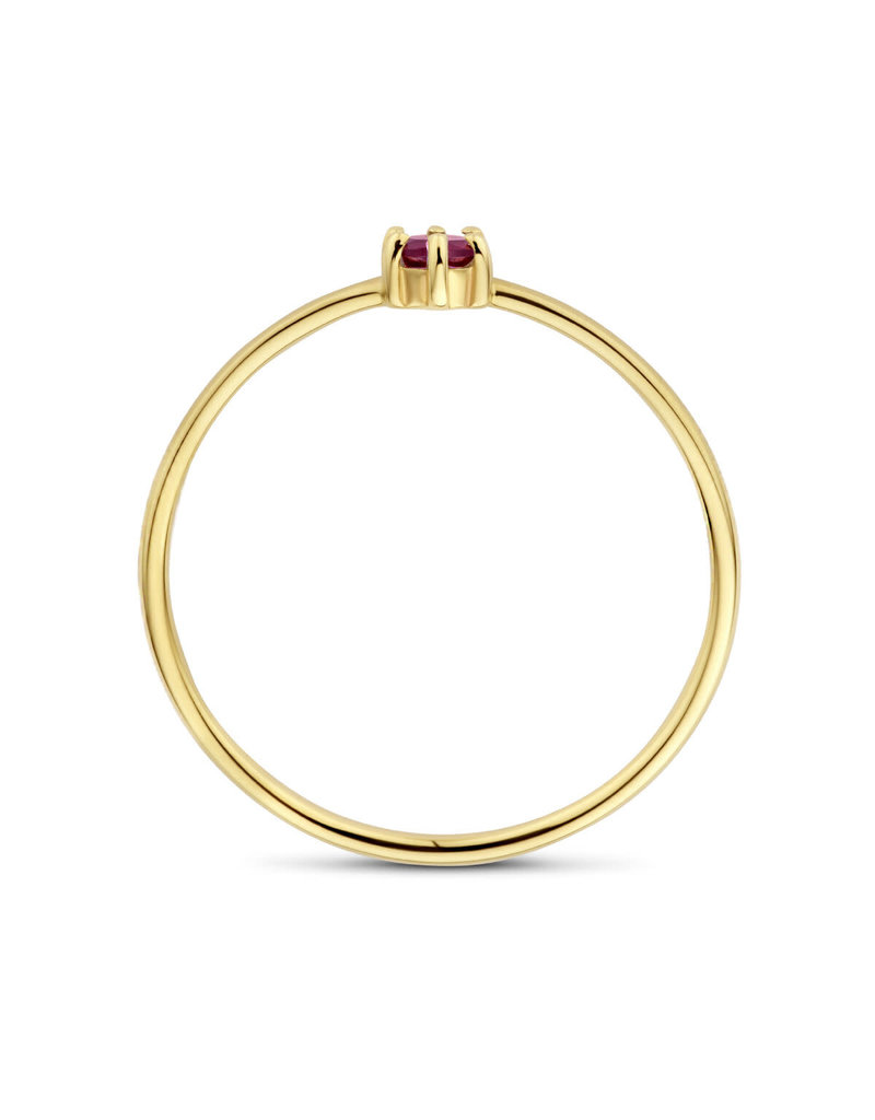 Blinckers Jewelry Huiscollectie BJ 4027602 ring dames  14k goud  Granaat  0.14ct  3 mm in maat 16.5 (geboorte steen januari)