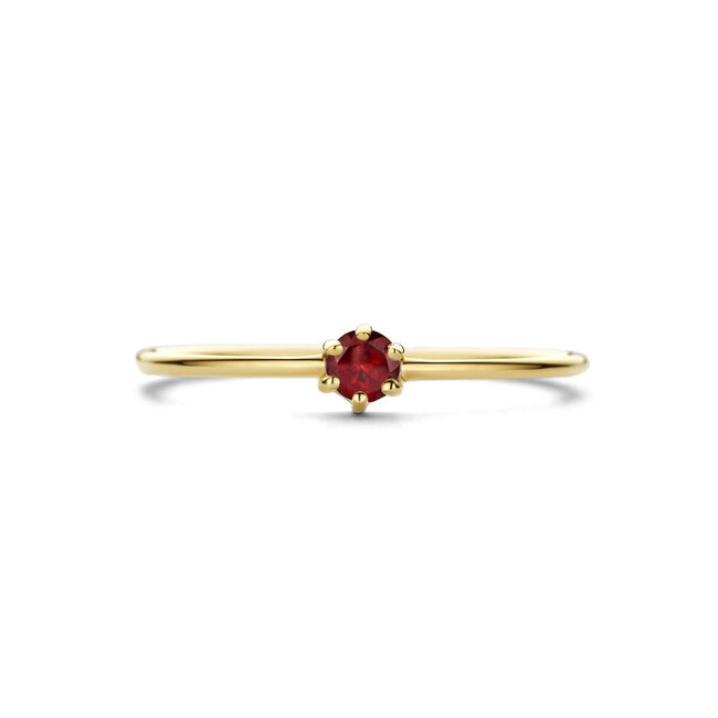 The House Of Blinckers THOB Ring 40.27602/16.5 14k Geelgoud met 0.14ct Granaat 4mm Maat 16.5 (Januari)