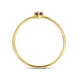 Blinckers Jewelry Huiscollectie BJ 4027634 ring 14k goud met Amethist maat 17  (geboorte steen Februari)
