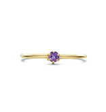 Blinckers Jewelry Huiscollectie BJ 4027634 ring 14k goud met Amethist maat 17  (geboorte steen Februari)