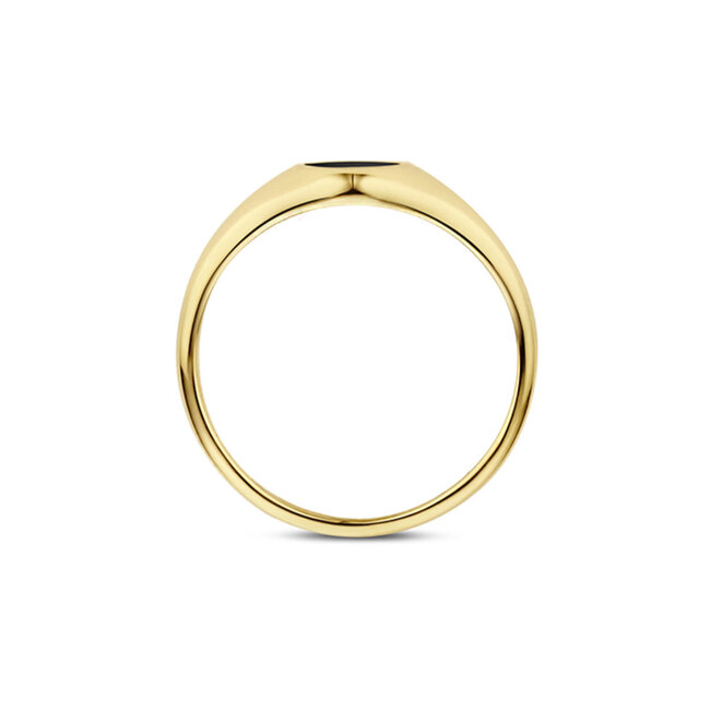 Blush Blush Ring 1219YON/54 14k Geelgoud Zwarte Onyx Maat 54