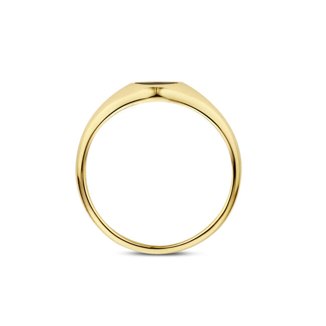 Blush Blush Ring 1219YMP/52 14k Geelgoud met Mother of Pearl Maat 52