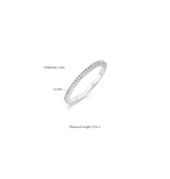 Blush Blush Ring 1607WDI/56 14k Witgoud 0,10ct G SI met Briljant geslepen Diamant Maat 56