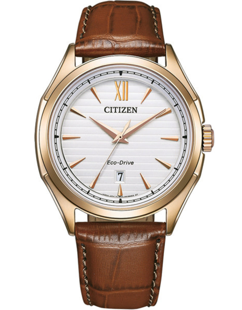 Citizen Citizen AW1753-10A stalen kast met lederenband