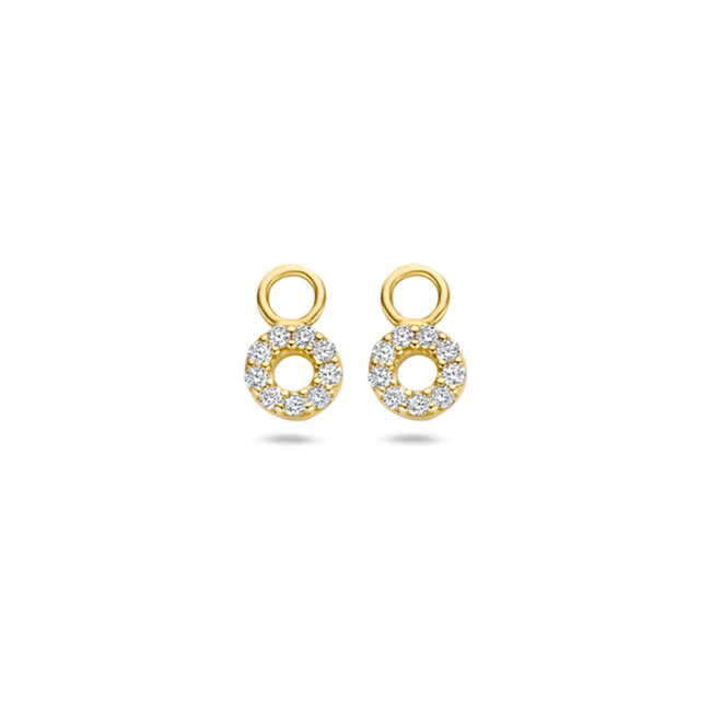 Blush Blush Oorbedel 9065YZI 14k Geelgoud Circle met zirkonia