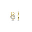 Blush Blush Oorbedel 9065YZI 14k Geelgoud Circle met zirkonia