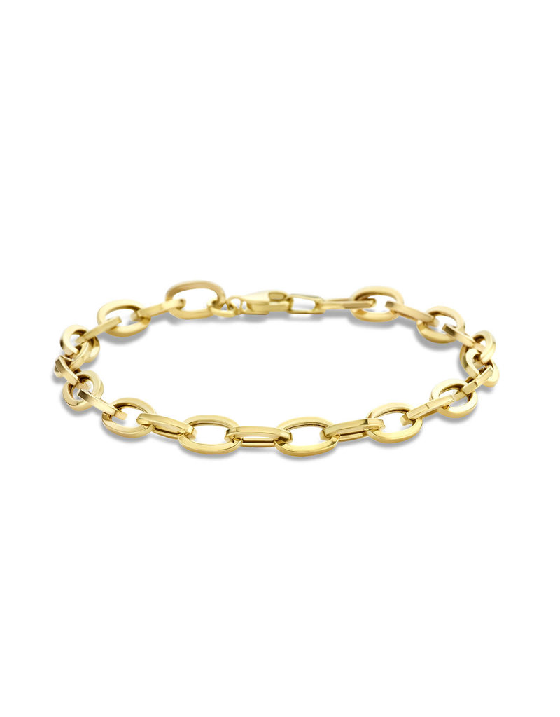 Blinckers Jewelry Huiscollectie The house of 4027295 armband dames in 14k goud 5.5 mm dikte in lengte 19 cm