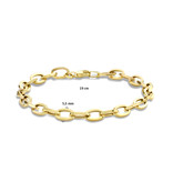 Blinckers Jewelry Huiscollectie The house of 4027295 armband dames in 14k goud 5.5 mm dikte in lengte 19 cm