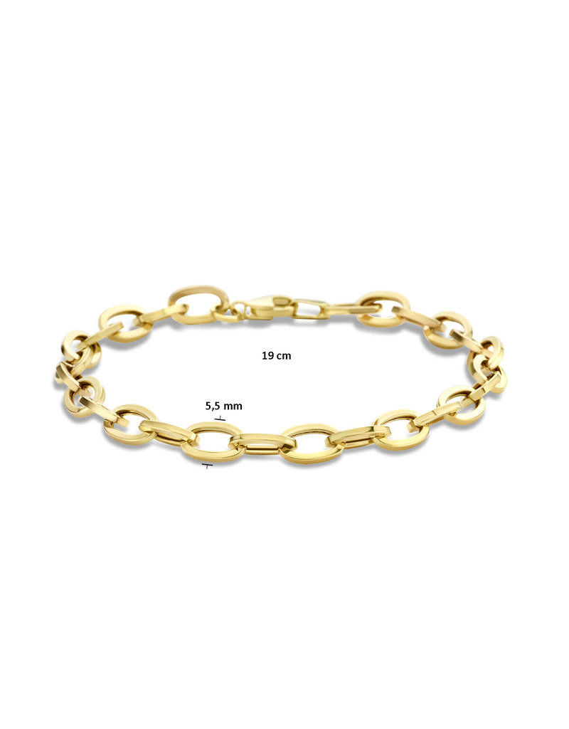 Blinckers Jewelry Huiscollectie The house of 4027295 armband dames in 14k goud 5.5 mm dikte in lengte 19 cm