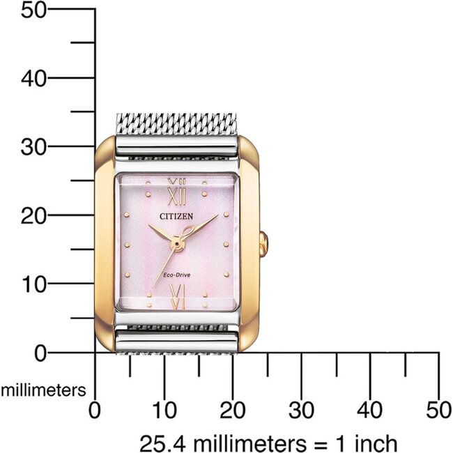 Citizen Citizen Horloge EW5596-66X Staal Bi-color Eco-drive met Roze Wijzerplaat en Extra Leren Horlogeband