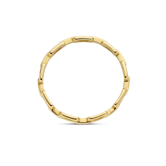 Blush Blush Ring 1230YGO/54 14k Geelgoud Closed Forever Maat 54