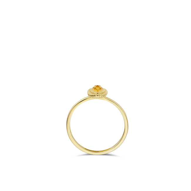 Blush Blush Ring 1239YMC/54 14k Geelgoud met Citrien Maat 54