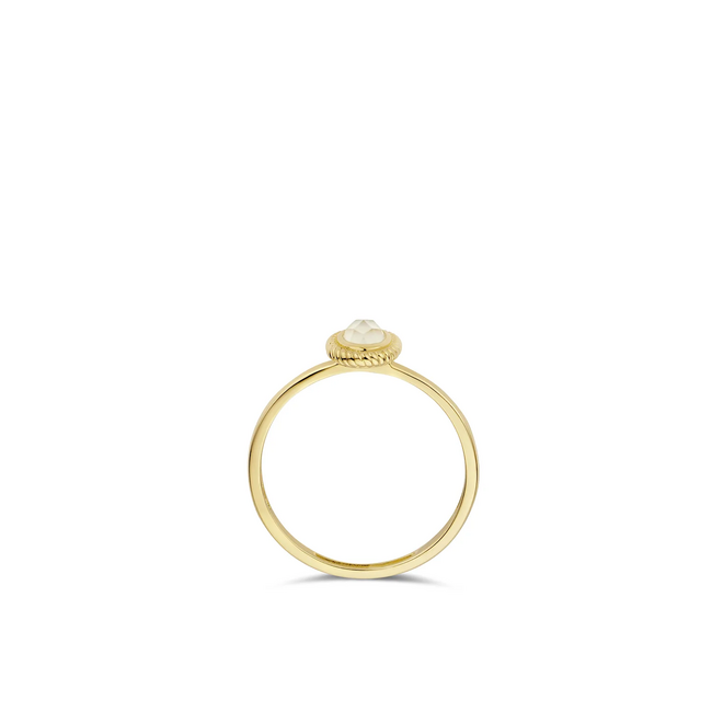 Blush Blush Ring 1239YMQ/54 14k Geelgoud Mother Of Pearl Maat 54