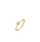 Blush Blush Ring 1248YZI/54 14k Geelgoud met Zirkonia Maat54