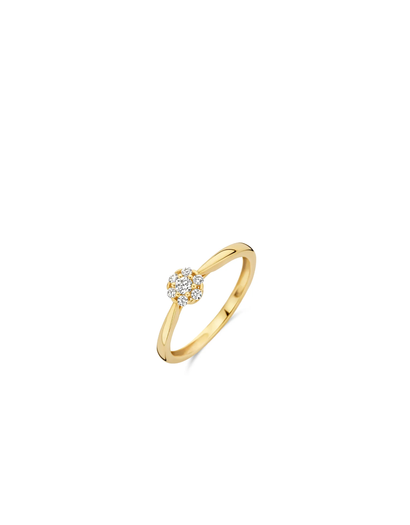 Blush Blush Ring 1248YZI/54 14k Geelgoud met Zirkonia Maat54