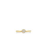 Blush Blush Ring 1248YZI/54 14k Geelgoud met Zirkonia Maat54