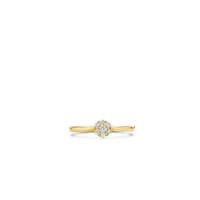 Blush Blush Ring 1248YZI/54 14k Geelgoud met Zirkonia Maat54