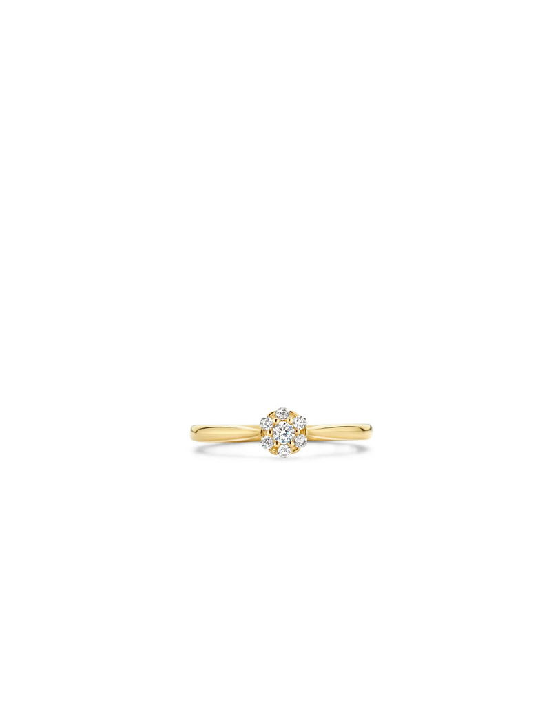 Blush Blush Ring 1248YZI/54 14k Geelgoud met Zirkonia Maat54