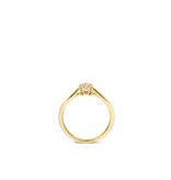 Blush Blush Ring 1248YZI/54 14k Geelgoud met Zirkonia Maat54