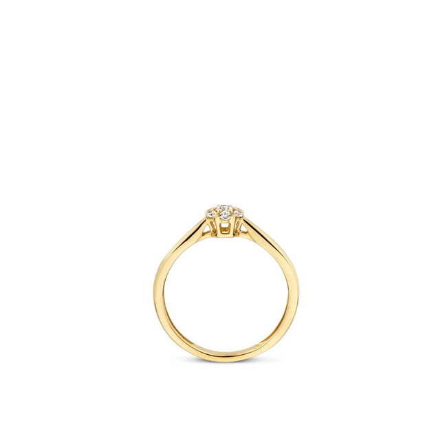 Blush Blush Ring 1248YZI/54 14k Geelgoud met Zirkonia Maat54