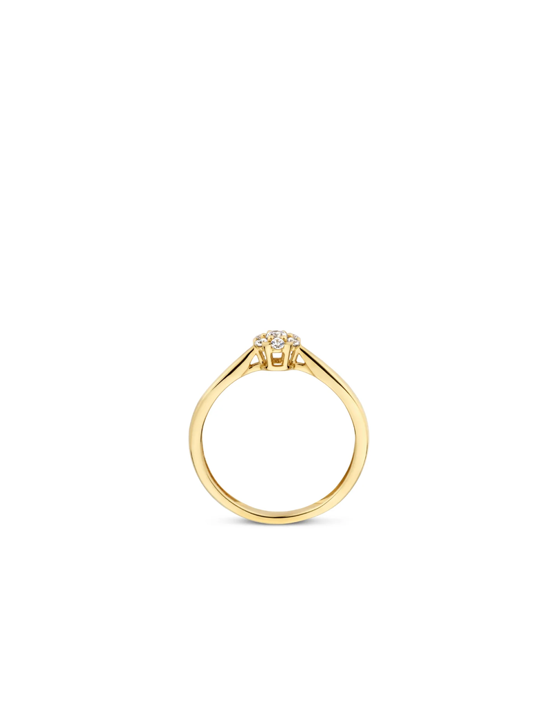 Blush Blush Ring 1248YZI/54 14k Geelgoud met Zirkonia Maat54