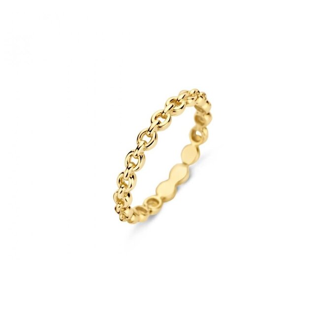 Blush Blush Ring 1246YGO/54 14k Geelgoud Link Maat 54